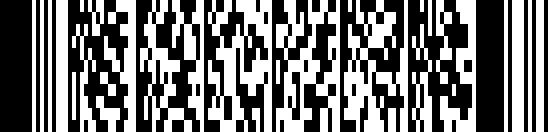 PDF417-es barcode example